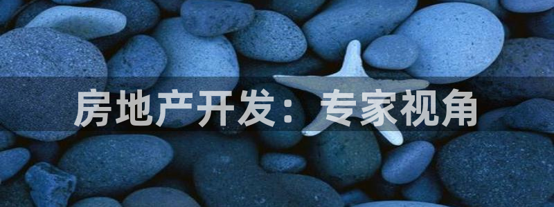 万向娱乐的494o3 主管