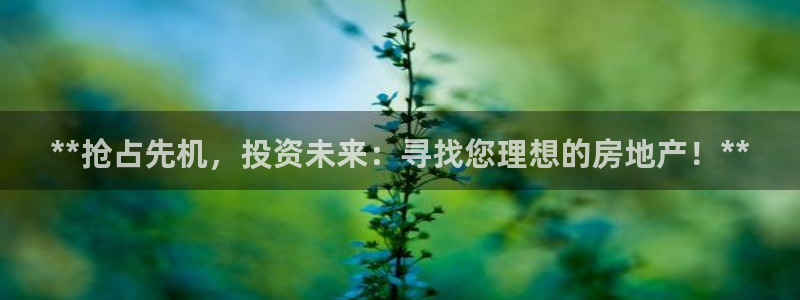 万向娱乐app下载官网