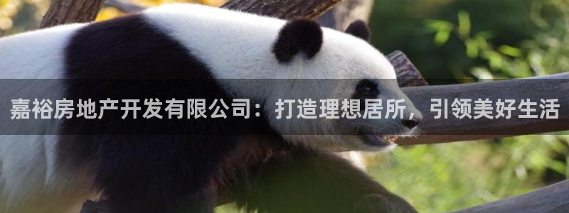 万向娱乐的494o3 主管