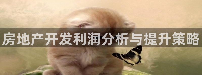 万向娱乐怎么样