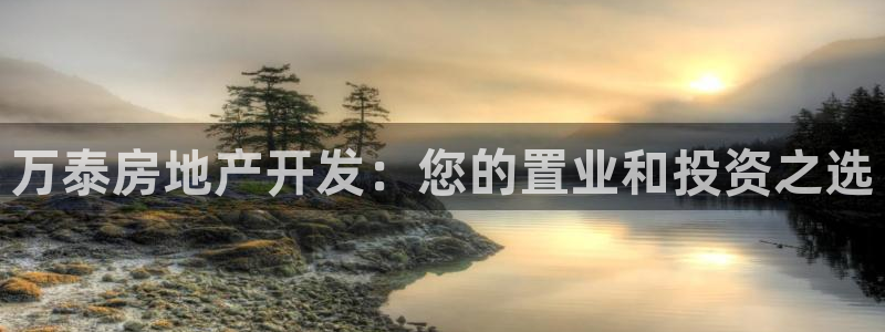 万向娱乐总代