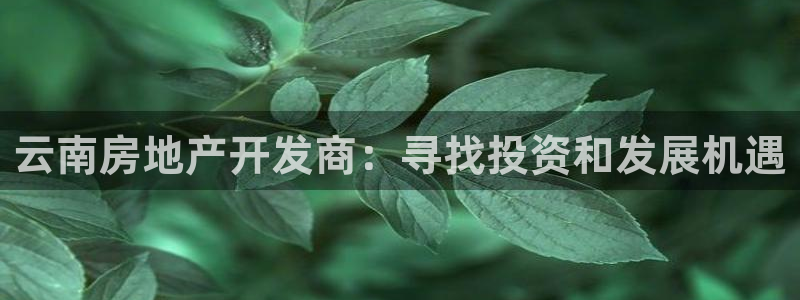 万向娱乐登陆官网入口