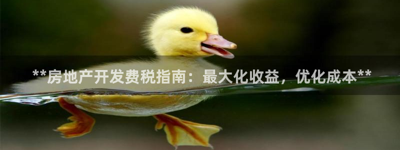 万向娱乐平台代理怎么样