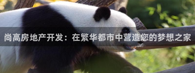 万向娱乐官网下载安卓