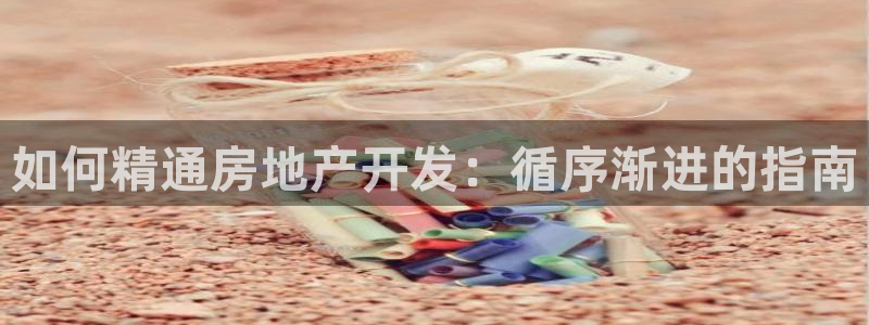 万向娱乐是野鸡台吗