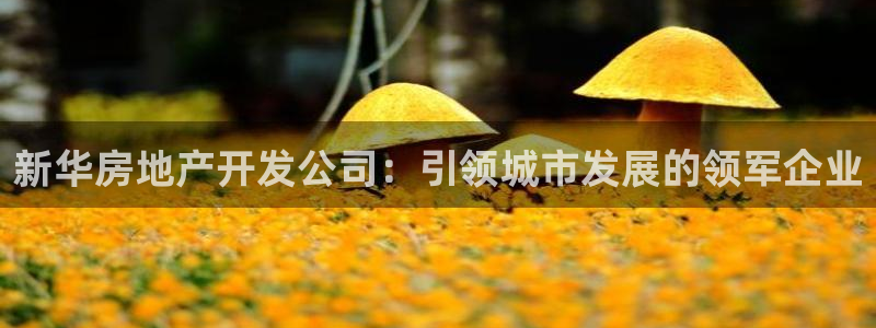 万向娱乐平台代理多少钱