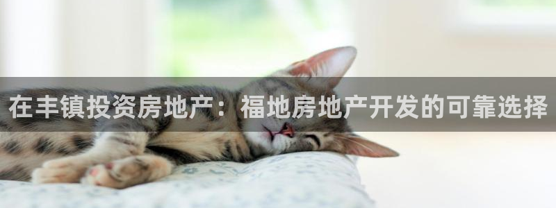 万能娱乐平台直招代理