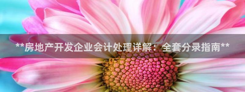 万向娱乐招商