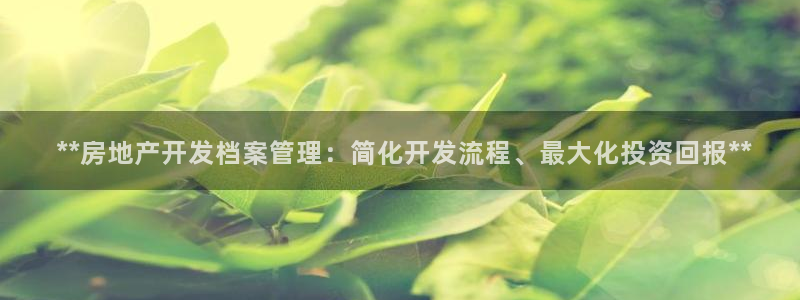 万向娱乐挂机软件