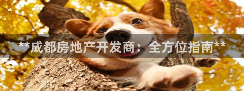 万向娱乐app下载安装