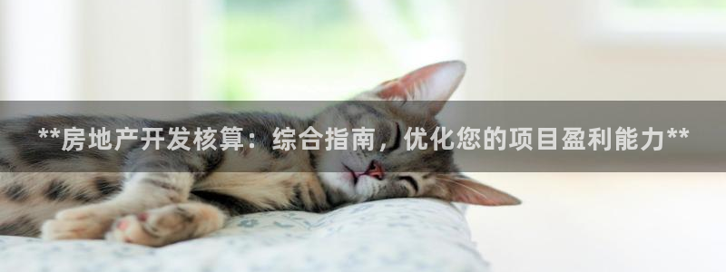 万向娱乐是哪个旗下