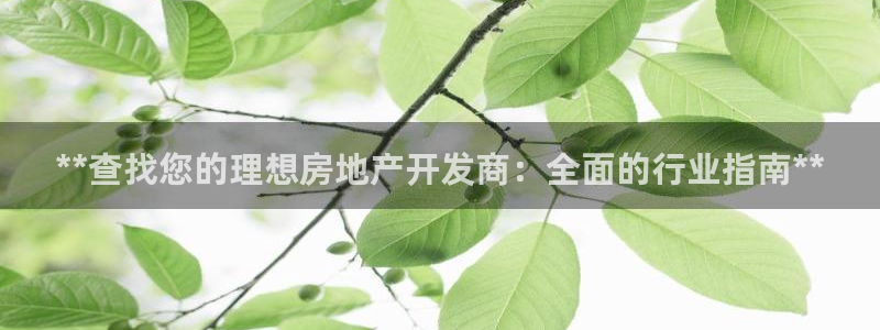 万向娱乐下载