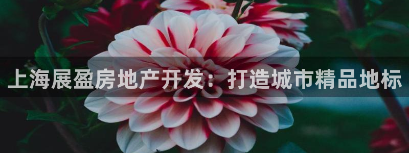 万向娱乐官网网址