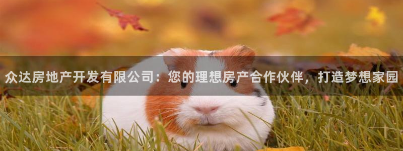 万向娱乐怎么样