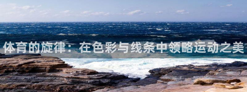 球客岛：体育的旋律：在色彩与线条中领略运动之美