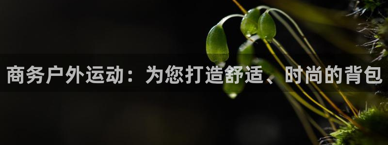 球客岛：商务户外运动：为您打造舒适、时尚的背包