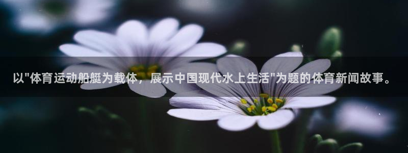 球客岛：以\