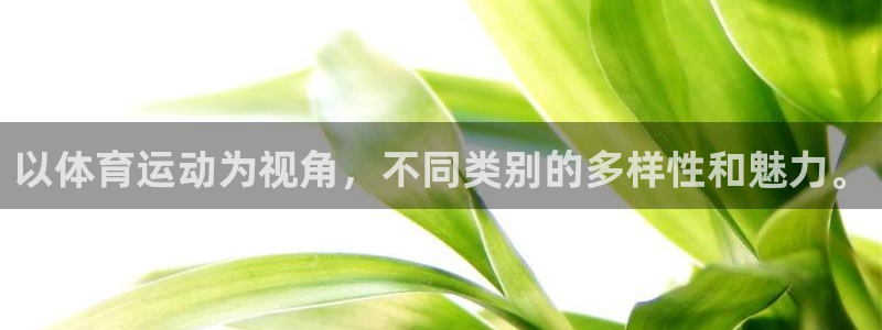 球客岛：以体育运动为视角，不同类别的多样性和魅力。