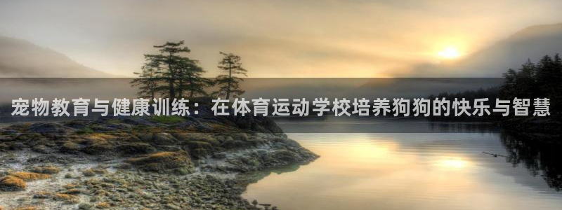 球客岛：宠物教育与健康训练：在体育运动学校培养狗狗的快乐与智慧