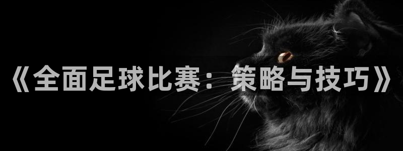 球客岛：《全面足球比赛：策略与技巧》