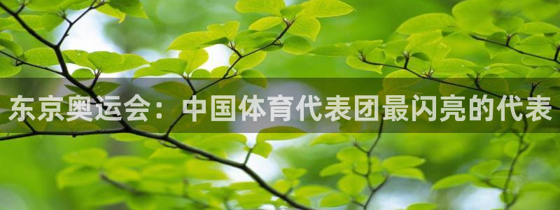 球客岛：东京奥运会：中国体育代表团最闪亮的代表