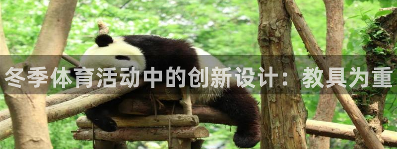 球客岛：冬季体育活动中的创新设计：教具为重