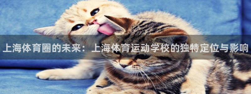 球客岛：上海体育圈的未来：上海体育运动学校的独特定位与影响