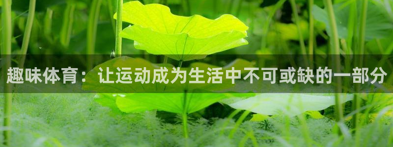 球客岛：趣味体育：让运动成为生活中不可或缺的一部分