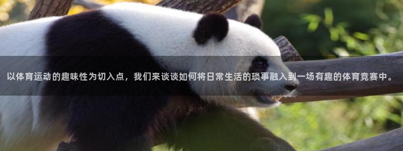 球客岛：以体育运动的趣味性为切入点，我们来谈谈如何将日常生活的琐事融入到一场有趣的体育竞赛中。