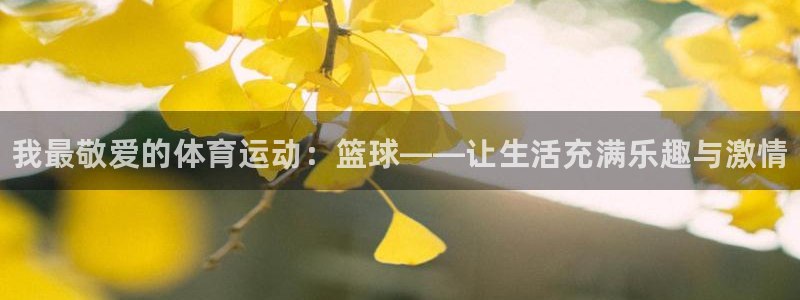 球客岛：我最敬爱的体育运动：篮球——让生活充满乐趣与激情
