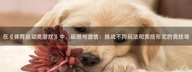 球客岛：在《体育运动类游戏》中，极限与激情：挑战不同玩法和竞技形式的竞技场
