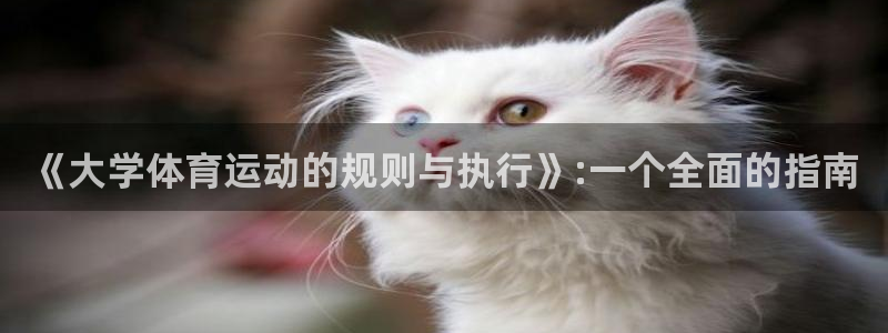 球客岛：《大学体育运动的规则与执行》:一个全面的指南