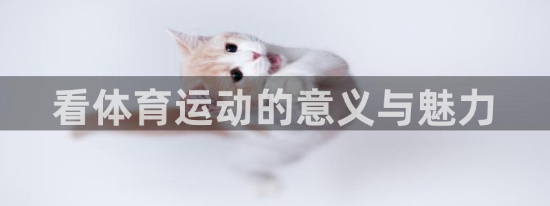 球客岛