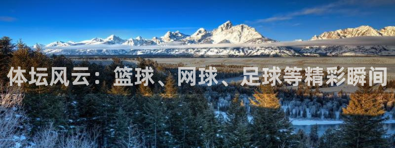 球客岛：体坛风云：篮球、网球、足球等精彩瞬间