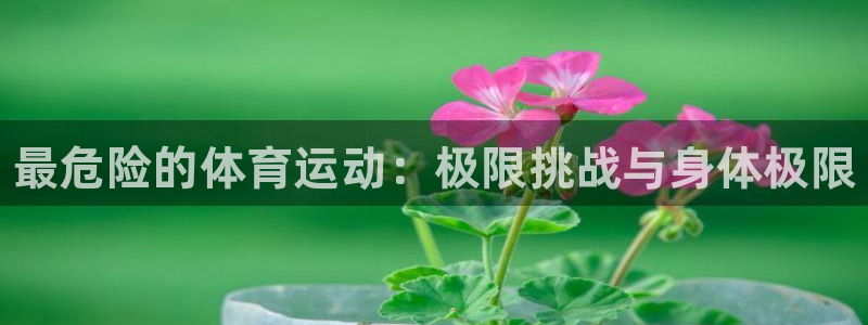 球客岛：最危险的体育运动：极限挑战与身体极限