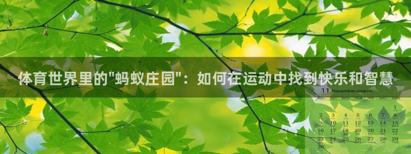 球客岛