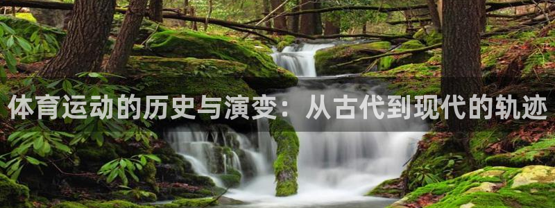 球客岛：体育运动的历史与演变：从古代到现代的轨迹