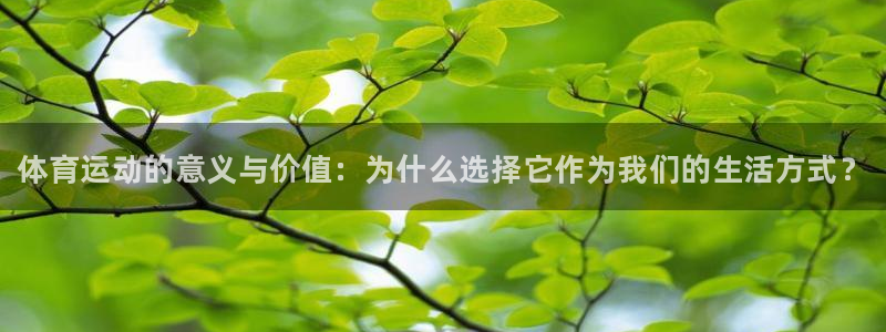球客岛：体育运动的意义与价值：为什么选择它作为我们的生活方式？