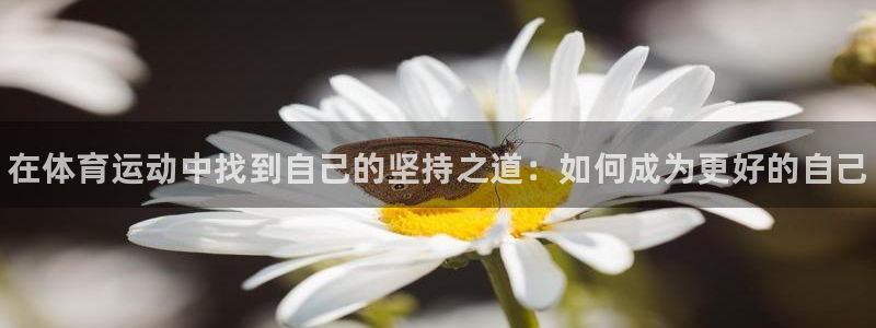 球客岛：在体育运动中找到自己的坚持之道：如何成为更好的自己