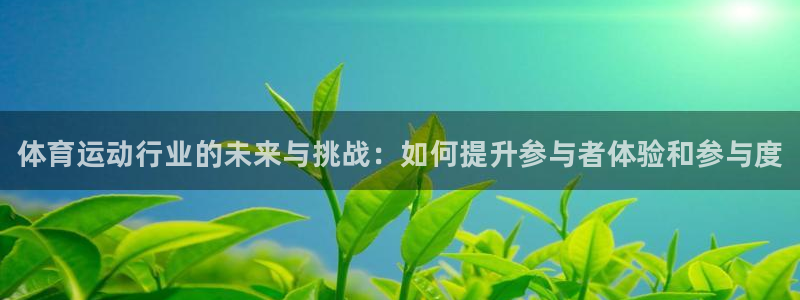 球客岛：体育运动行业的未来与挑战：如何提升参与者体验和参与度