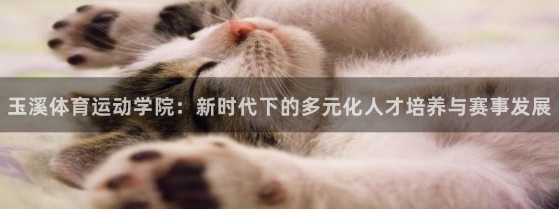 球客岛：玉溪体育运动学院：新时代下的多元化人才培养与赛事发展