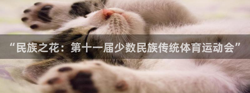 球客岛：“民族之花：第十一届少数民族传统体育运动会”