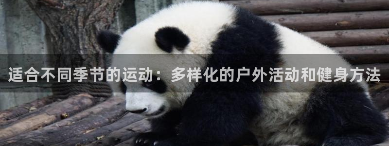 球客岛：适合不同季节的运动：多样化的户外活动和健身方法