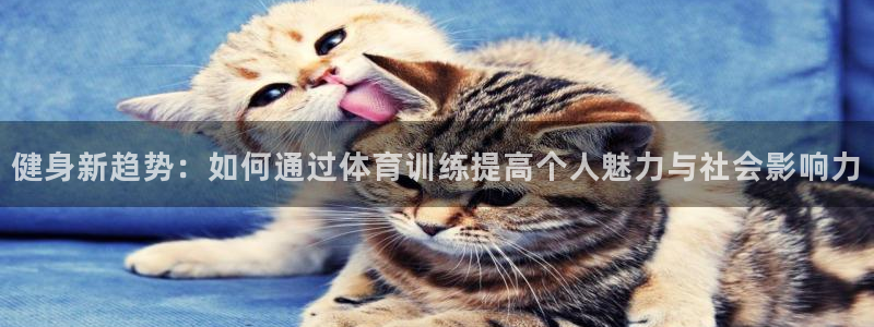 球客岛：健身新趋势：如何通过体育训练提高个人魅力与社会影响力