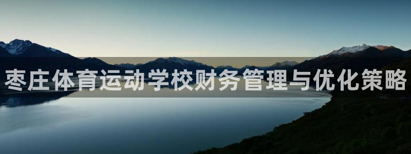 球客岛：枣庄体育运动学校财务管理与优化策略