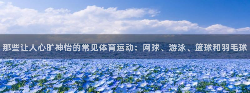 球客岛：那些让人心旷神怡的常见体育运动：网球、游泳、篮球和羽毛球