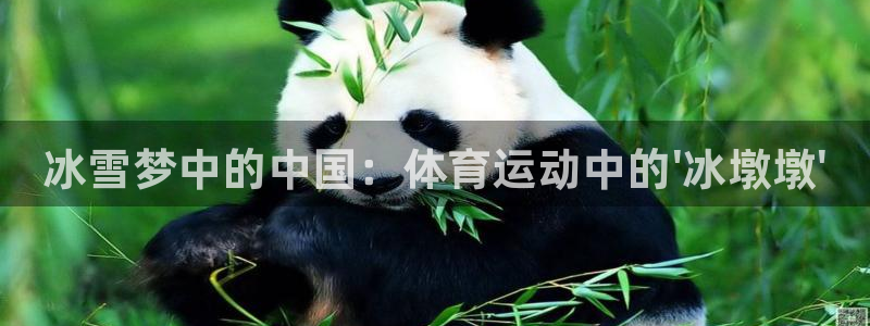 球客岛：冰雪梦中的中国：体育运动中的\'冰墩墩\'