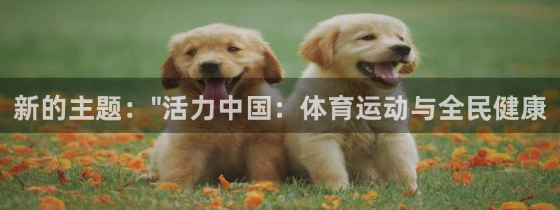 球客岛：新的主题：\