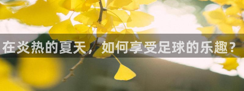 球客岛：在炎热的夏天，如何享受足球的乐趣？