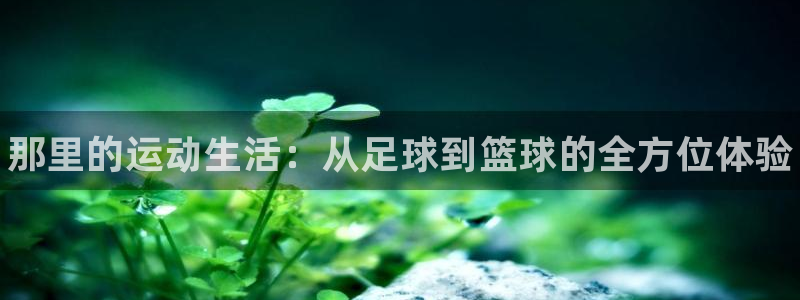 球客岛：那里的运动生活：从足球到篮球的全方位体验